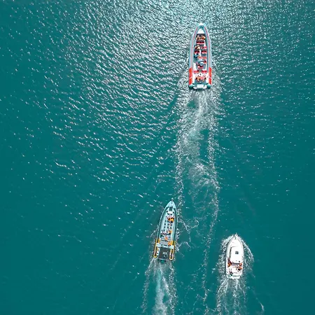 Villa Palmas By Algarve Vacation